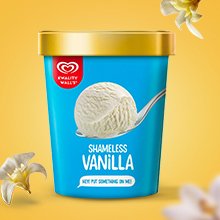 Kwality Walls Vanila Tub